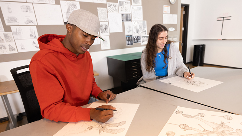 Digital Skills vs Traditional Skills